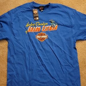 Harley Davidson tshirt